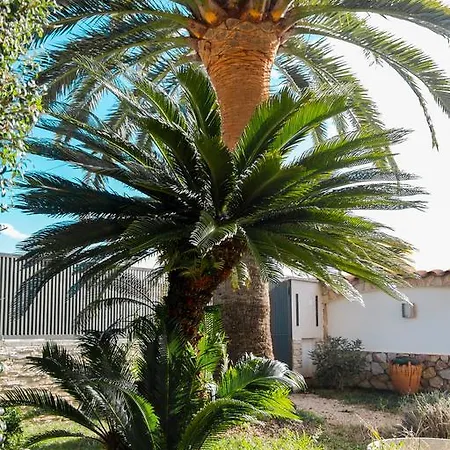 Pani 5*